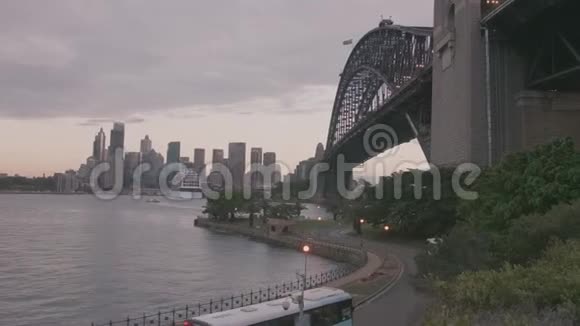 悉尼港早上实时淘洗视频的预览图