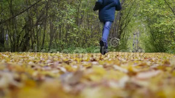 这家伙在秋天公园跑步黄叶躺在脚下户外运动秋天的风景美丽的风景视频的预览图
