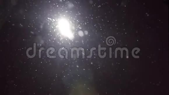 夜间降雪黑色背景下的雪花镜头中的雪花飞舞视频的预览图