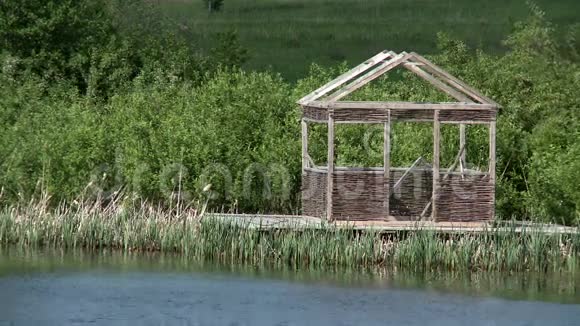 池塘岸边的木树视频的预览图