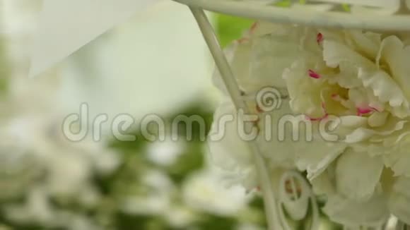草地上的婚礼装饰视频的预览图