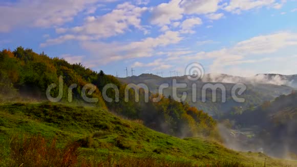 在一个自然保护区的山坡上有薄雾的山毛榉林视频的预览图