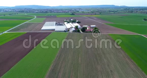 草莓田映衬着大片的热复合体飞越农业区视频的预览图