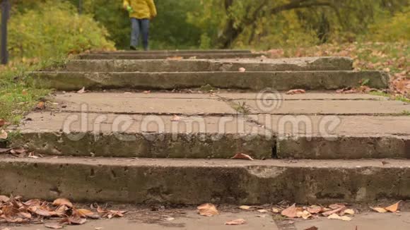 玩三岁的男孩在秋天公园的楼梯上鲁宁视频的预览图