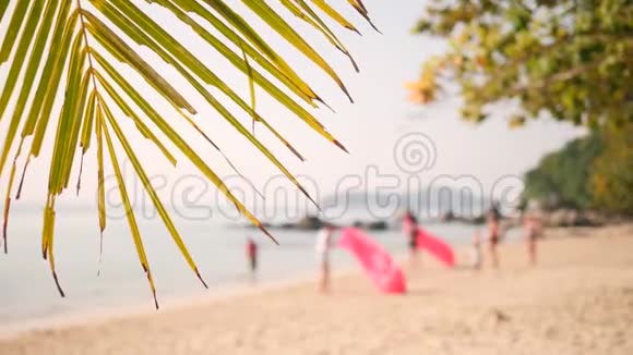年轻的朋友们沿着沙滩奔跑热带岛上有充气式的空中沙发吊床4K泰国普吉岛视频的预览图