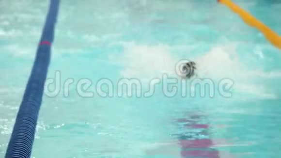 无法辨认的运动员游泳仰泳前景视频的预览图