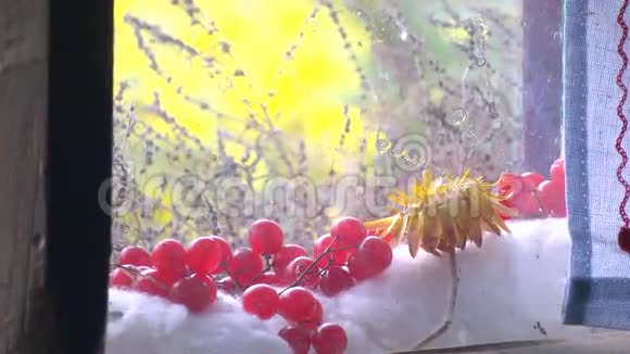 浆果躺在窗户附近视频的预览图