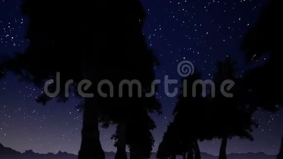 在星星的映衬下夜晚的树木小巷视频的预览图
