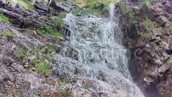 失落的小溪瀑布春天视频的预览图