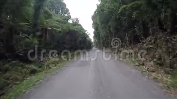 霍基提卡西海岸丛林之路新西兰最受欢迎的旅游目的地视频的预览图