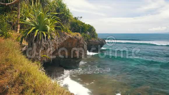 努沙杜瓦海岸线的景观岩石明亮的植被和蔚蓝的海洋视频的预览图