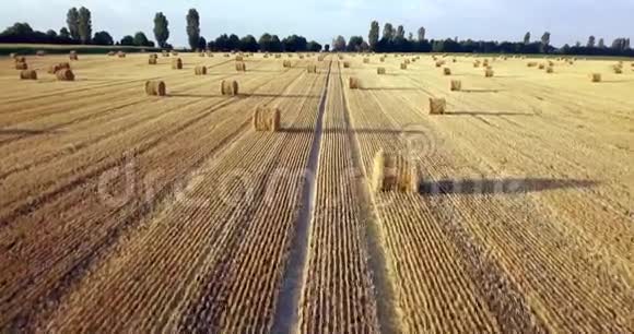 飞在一捆捆干草的金色田野上惊人的直线平坦收获和农业领域模型电话康斯特劳视频的预览图