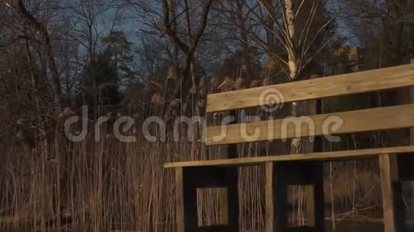 金色的夕阳照在湖边的长凳上视频的预览图