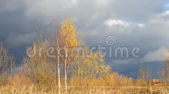 戏剧性的天空乌云密布被太阳照亮的枯黄的草在风中摇曳秋天的风景等待暴风雨视频的预览图