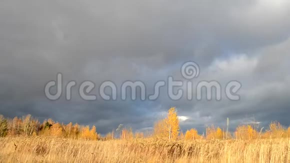 戏剧性的天空乌云密布被太阳照亮的枯黄的草在风中摇曳秋天的风景等待暴风雨视频的预览图