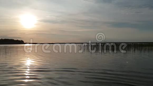 沙茨克湖的日落视频的预览图