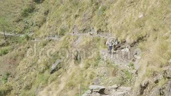 许多背包客在尼泊尔山区的小路上行走玛纳斯鲁巡回跋涉视频的预览图