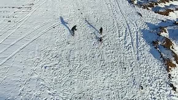 空中飞行爸爸把儿子卷在雪橇上拍一段视频视频的预览图