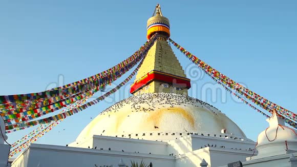尼泊尔佛像加德满都的博达纳塔视频的预览图