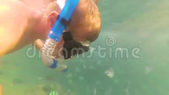 一个孩子在海里洗澡在太阳下吃鱼戴口罩潜水热带岛屿视频的预览图