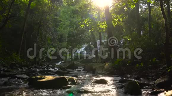 山河从瀑布中流出流经泰国多伊因塔农的热带雨林丛林视频的预览图