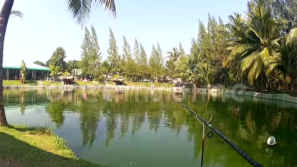 在池塘海滩钓鱼视频的预览图