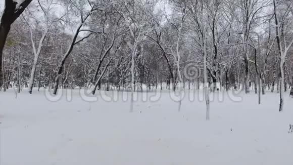 克德隆4低空拍摄冬季公园视频的预览图