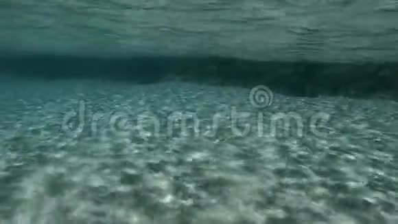 荒岛上美妙的大海视频的预览图