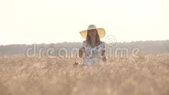 年轻的乡下姑娘拿着篮子穿过麦田视频的预览图
