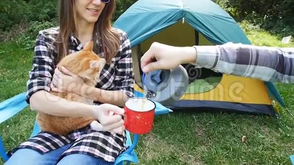 在徒步旅行中一对猫坐在帐篷里的小幸福夫妇视频的预览图