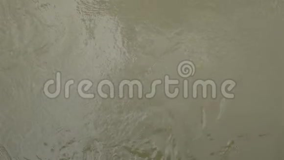 雨季河水流过视频的预览图