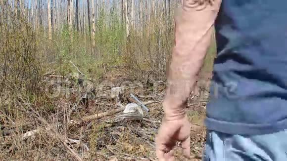 一名露营者在尤孔地区伐木视频的预览图