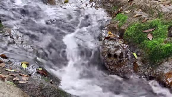 水流流过岩石和苔藓流入热带森林瀑布的小溪视频的预览图