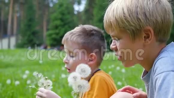 快乐的孩子们在公园里吹蒲公英种子动作缓慢公园家庭度假视频的预览图