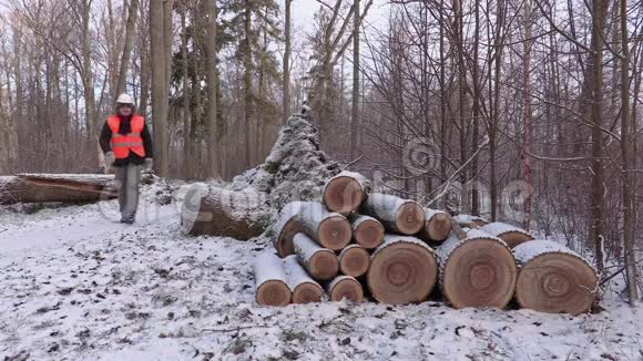 伐木工人靠近一堆小圆木视频的预览图