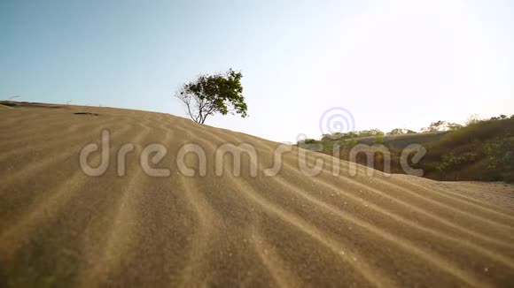 美丽的沙丘景观视频的预览图