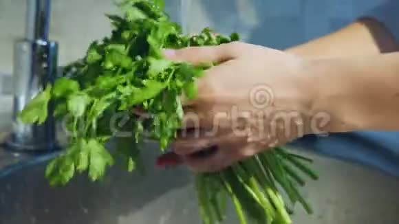 新鲜生菜洗净后喷水视频的预览图