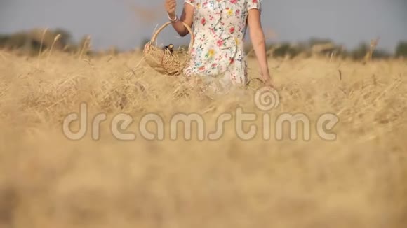 年轻的乡下姑娘拿着篮子穿过麦田视频的预览图