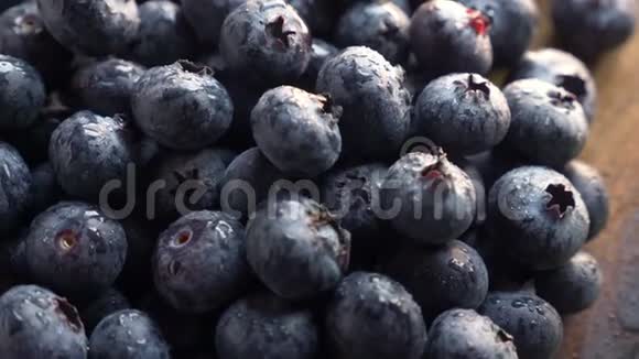新鲜采摘的蓝莓视频的预览图