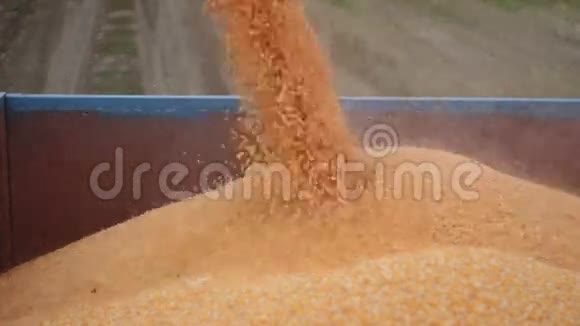 联合收割机将玉米卸入拖车视频的预览图