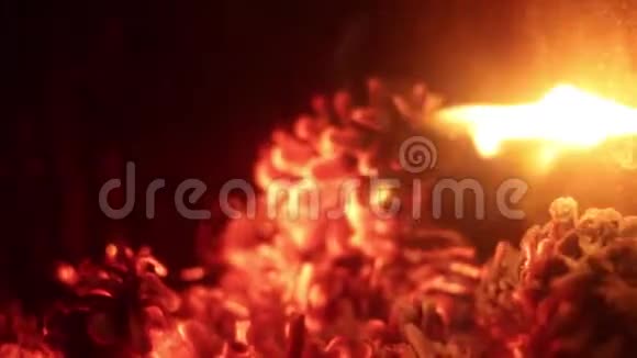 把注意力集中在一个燃烧在火炉里的松齿轮上视频的预览图