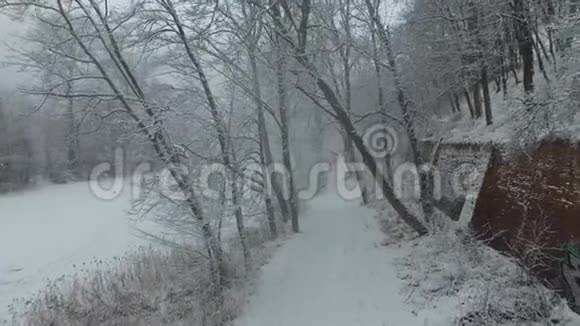 公园里布满白雪的小巷鸟瞰视频的预览图