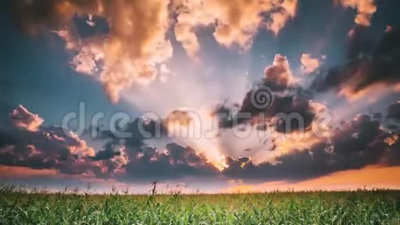 夏日晚霞黄昏之上的乡村麦田景观天边有雨云的美丽天空视频的预览图
