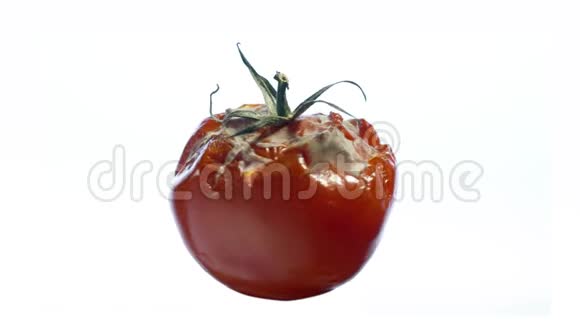 腐烂变质番茄可循环旋转视频的预览图