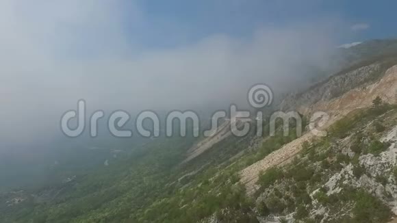 薄雾般的森林空中的景色从云层中飞过视频的预览图
