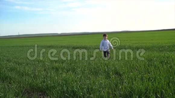 小男孩在绿色的春田里奔跑视频的预览图