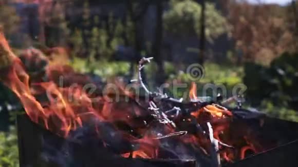布拉泽的烈焰视频的预览图