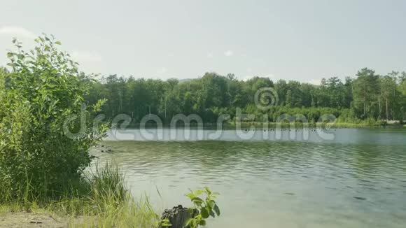 3乘1森林中带湖的一套脚印前景中有树枝树枝在树上视频的预览图