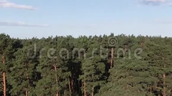 空中自然景观美丽的山丘森林田野和葡萄园乌克兰卡帕蒂视频的预览图