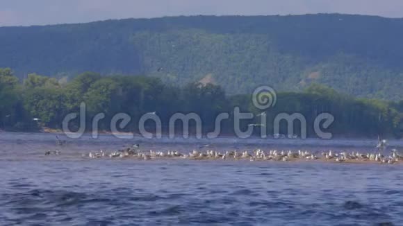 在伏尔加河上划独木舟视频的预览图